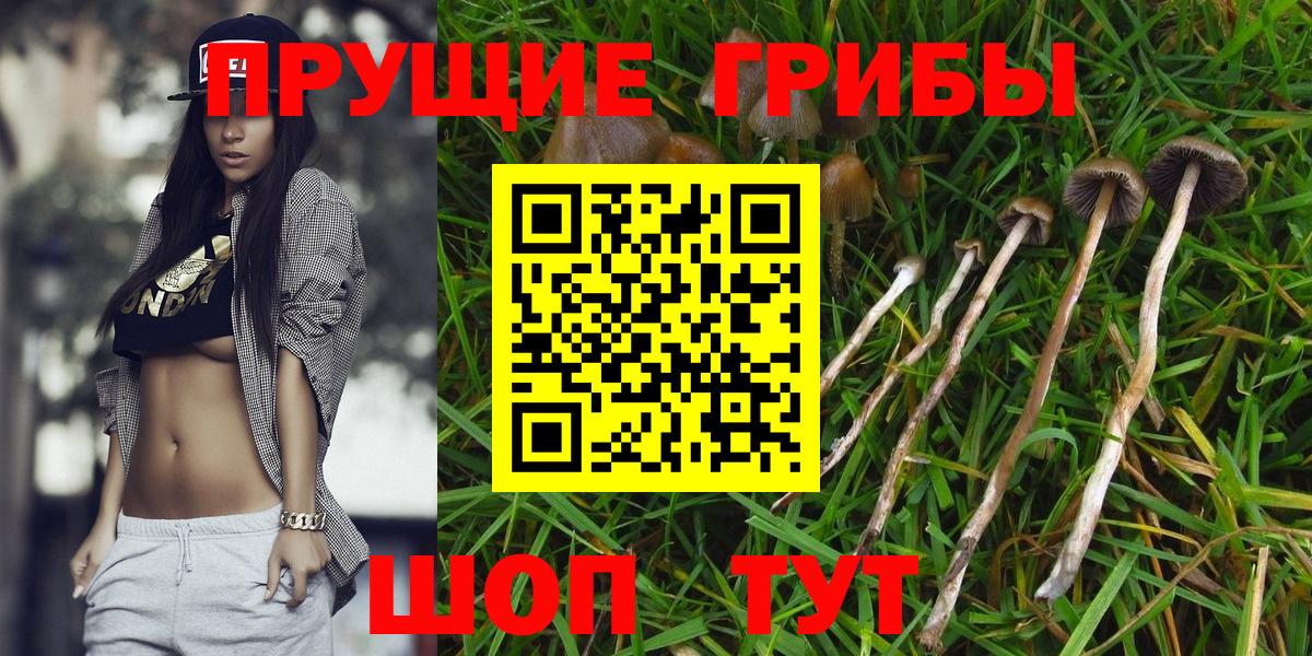 Псилоцибиновые грибы мухоморы  Галлюциногенные грибы MAGIC MUSHROOMS  Вход с VPN  Чусовой 